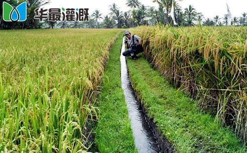 作物需水规律