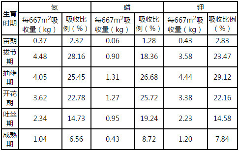 滴灌玉米不同生育期养分吸收表