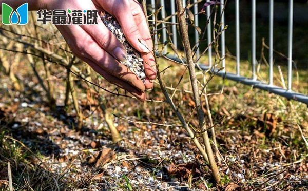施肥技术的发展