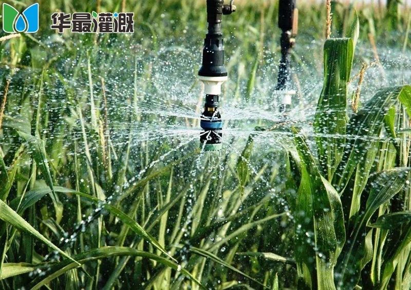 现代化灌溉特征
