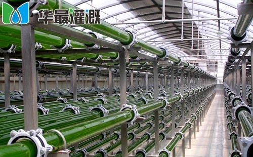 滴灌系统使用有机肥