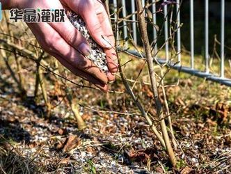 肥料的使用和制作技术在我国经历了哪些发展历程