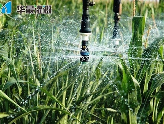 现代化灌溉的基本特征
