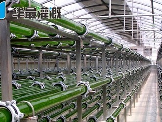 滴灌系统能否施用有机肥？