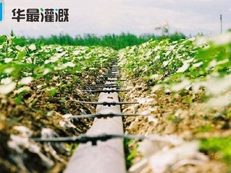 我国滴灌技术的发展经历了哪些阶段