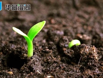 土壤酸碱性对作物吸收养分及肥效有哪些影响