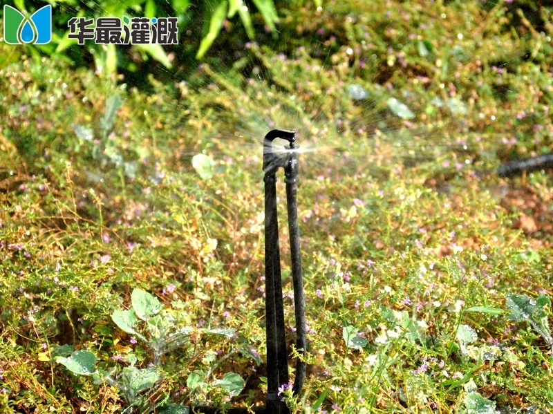 地插防虫式微喷头