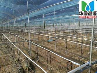 <b>温室大棚地插滴箭应用</b>