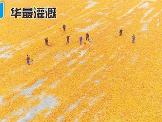 玉米制种抗旱节水措施介绍