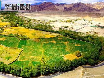 喷灌和滴灌将成为我国绿洲农业的主要灌溉方式