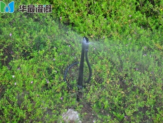 地插防虫式微喷应用
