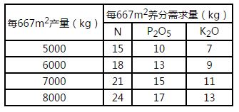 中等肥力土壤滴灌西瓜是非