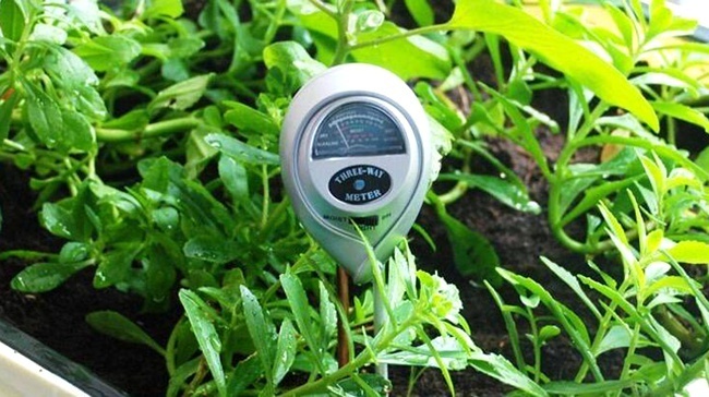 植物水分检测技术