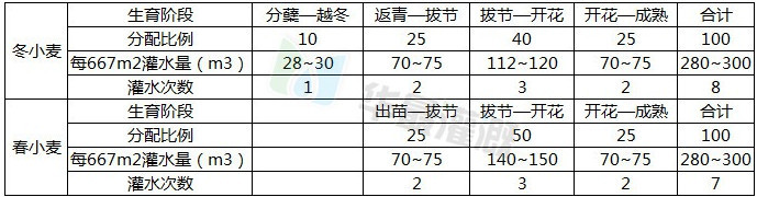 滴灌小麦灌溉方案