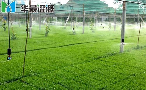 作物耗水量和产量的关系