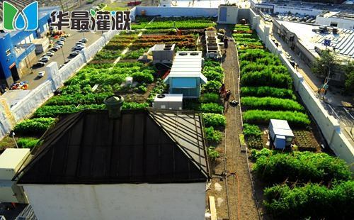 滴灌系统自动化控制