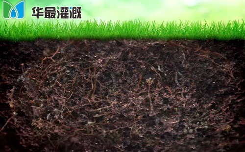 节水灌溉设备土壤水分分布