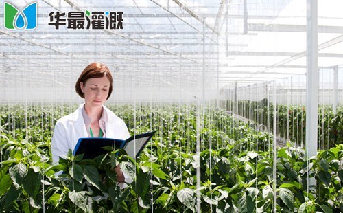 滴灌系统常见故障及解决办法