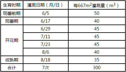 滴灌向日葵灌溉方案