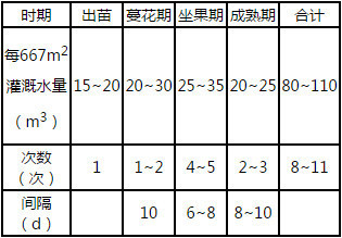 滴灌打瓜灌溉方案