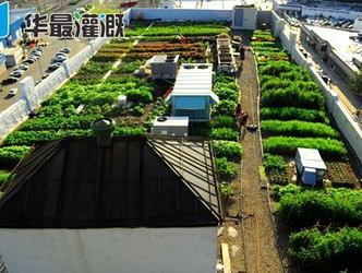 什么是滴灌系统的自动化控制