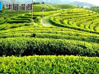 节水灌溉系统中如何确定作物所需的施肥总量？