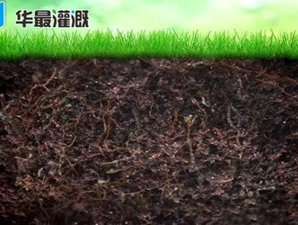 节水灌溉设备工作后土壤中水分的分布是怎样的?
