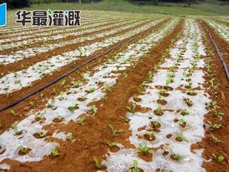 滴灌带施工安装的注意事项
