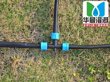 滴灌毛管铺设安装