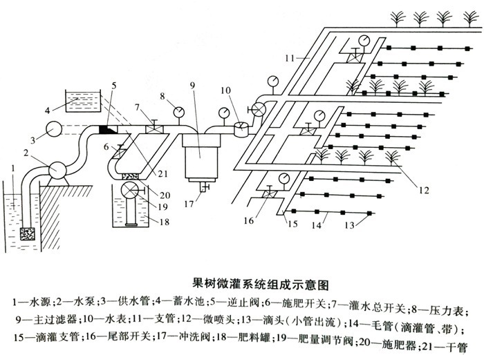 果树微灌系统毛管安装示意
