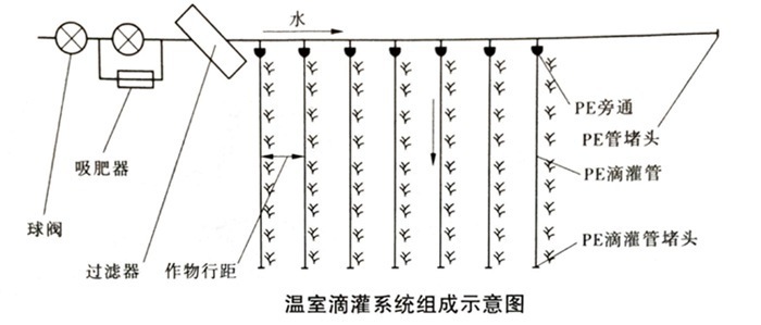 温室滴灌系统毛管安装示意图