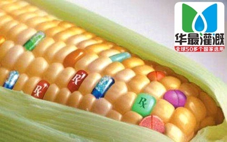 转基因产品