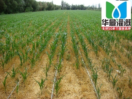灌溉设备