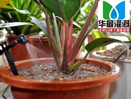 雾化喷头喷灌设备