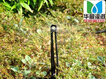 地插喷头