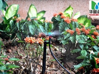 园林花卉植物灌溉时要注意控制水温