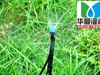 草坪灌溉时间和次数