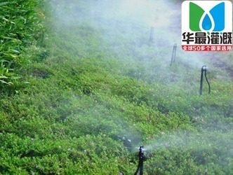 喷灌设备的喷灌强度如何控制