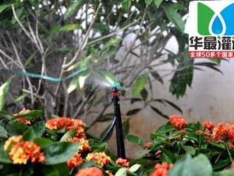 园林植物花卉灌溉水量过多和过少的危害