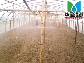 温室大棚内喷灌设备的安装布置