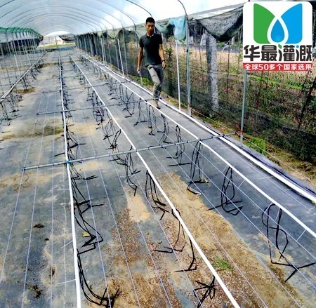 滴箭产品