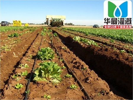 贴片式滴灌带