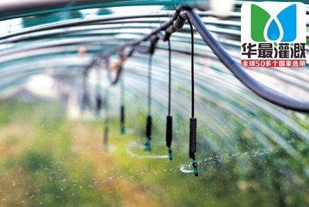 大棚喷灌设备