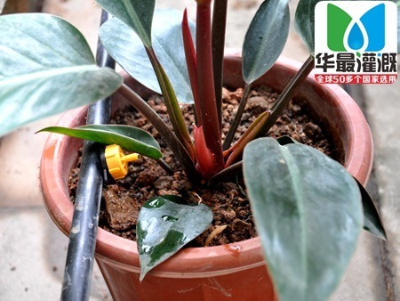 压力补偿滴头应用
