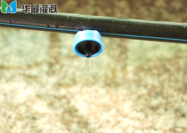 江西压力补偿滴头