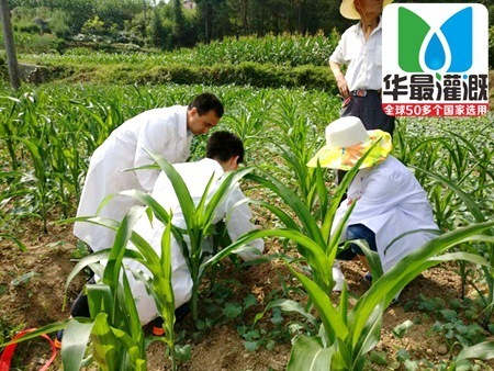 灌溉水质监测