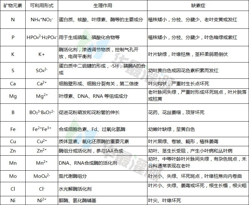 作物对各种元素的需求以及短缺症状