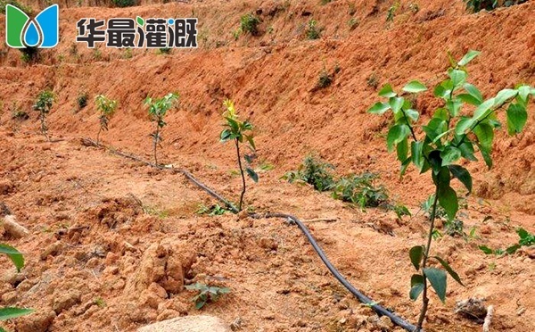 山地微灌