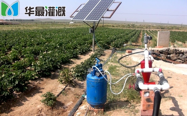 滴灌正确施肥