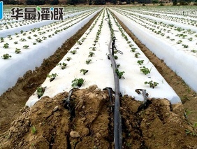 滴灌系统的成本由哪些部分构成